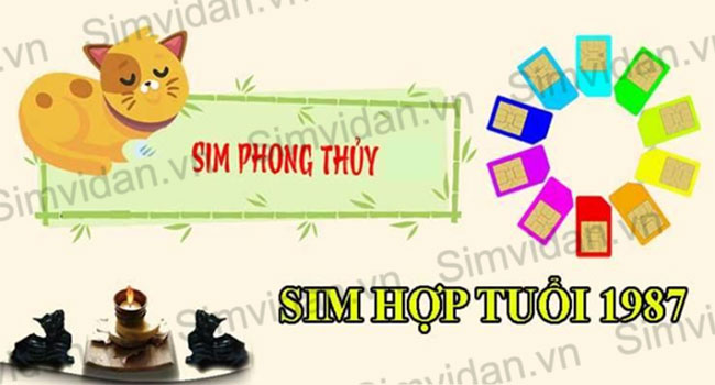 sinh nam 1987 hop sim nao huong dan cach chon sim hop tuoi dinh mao